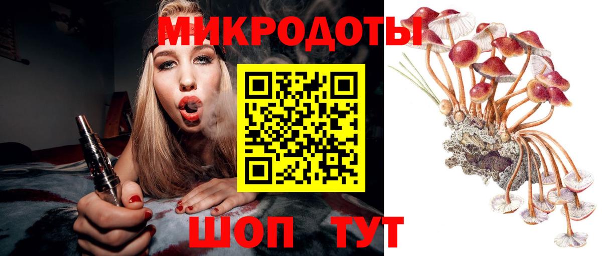 Белореченск  Галлюциногенные грибы Psilocybine cubensis  Вход с VPN 